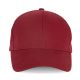 Hibiscus Red
