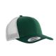 Forest Green / Light Grey