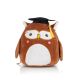 Wise Owl