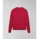Red Barberry