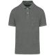Iron Grey