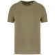 Light Olive Green