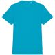 Light Turquoise