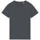 Iron Grey
