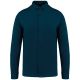 Peacock Blue