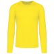Flashy Yellow