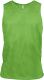 Fluorescent Green
