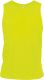 Fluorescent Yellow