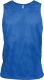 Sporty Royal Blue