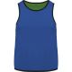 Sporty Royal Blue / Green