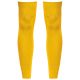 Sporty Yellow