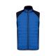 Dark Royal Blue / Black
