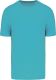 Light Turquoise