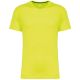Fluorescent Yellow