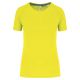 Fluorescent Yellow