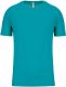 Light Turquoise
