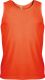 Fluorescent Orange