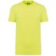 Fluorescent Yellow