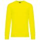 Fluorescent Yellow