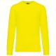 Fluorescent Yellow