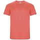 Fluor Coral