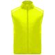Fluor Yellow