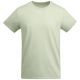 Mist Green