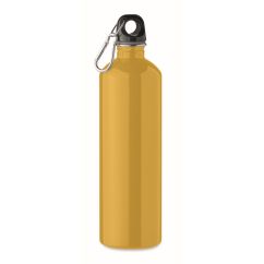 Bouteille simple paroi